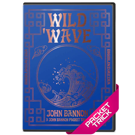 John Bannon - Wild Wave (Blackpool 2023) - Click Image to Close